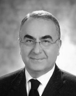 Prof. Dr. Hasan Meriç 